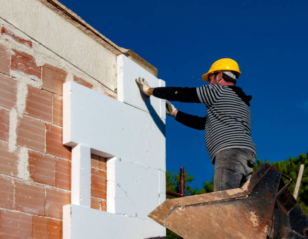 Best Commercial Insulation in Carson City, MI