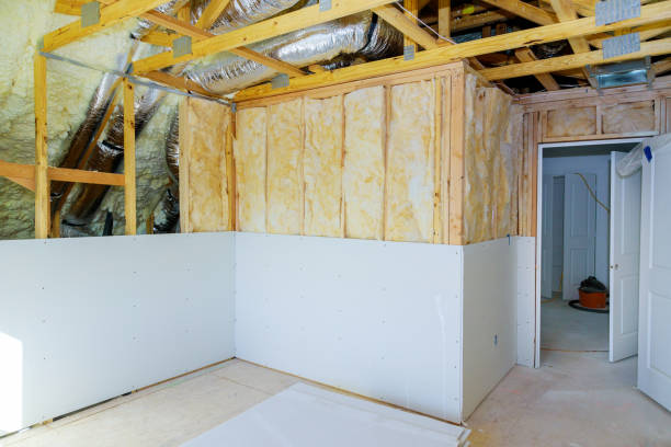 Best Specialized Insulation Services in Carson City, MI