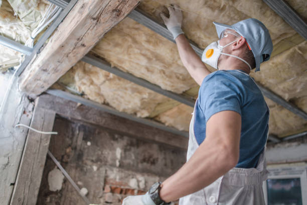 Best Fiberglass Insulation in Carson City, MI