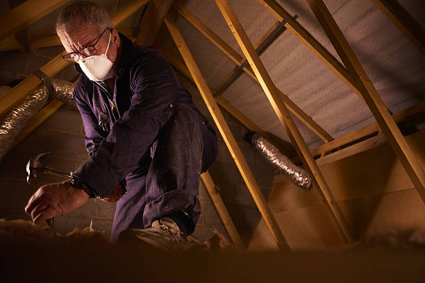 Best Insulation for Specific Applications in Carson City, MI